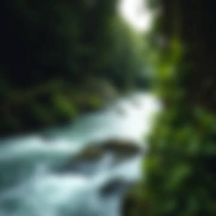 A green landscape showing clean river flowing through forested area symbolizing environmental risk management