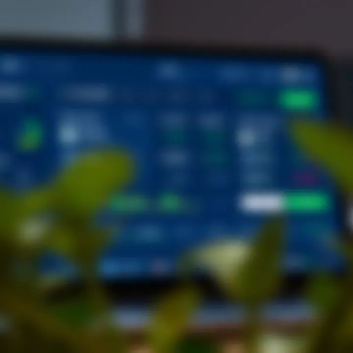 Virtual trading platform interface showing investment options and demo account balance